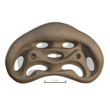 Фингерборд Ukrholds Fingerboard