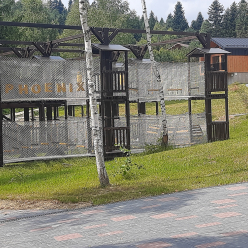 parktropa-ropepark-shidnica-21-42