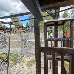 parktropa-ropepark-shidnica-21-56