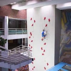 Speed climbing wall for the olympic team of Ukraine